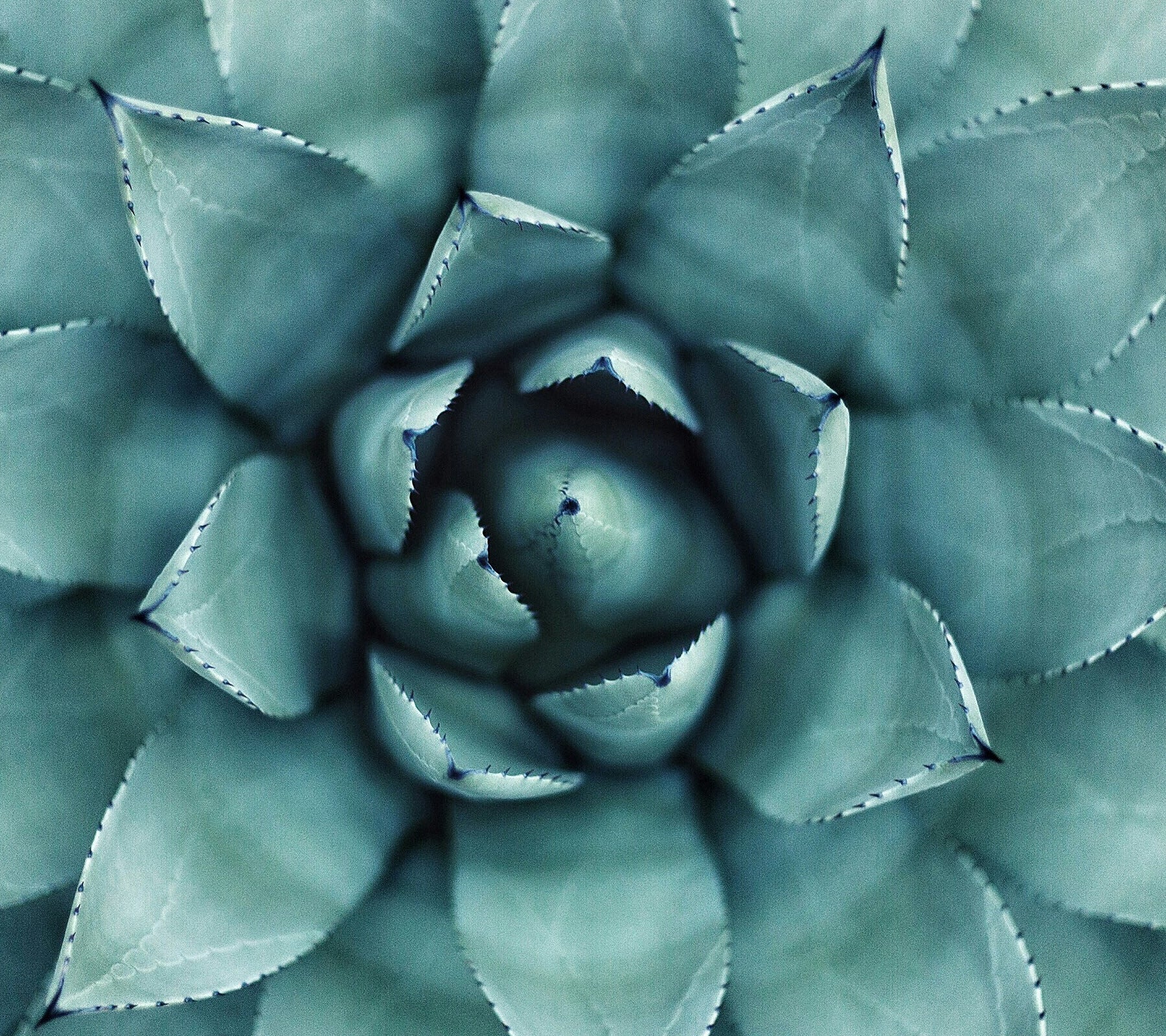 How to Cultivate a Positive Mindset: 5 Ways to Boost Your Thinking