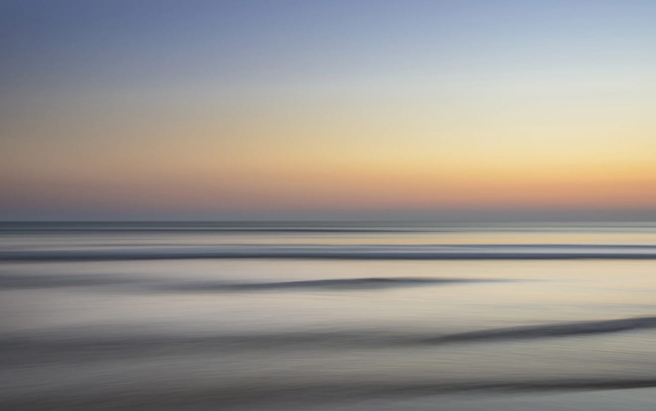 A neuroscientist’s guide to managing election stress