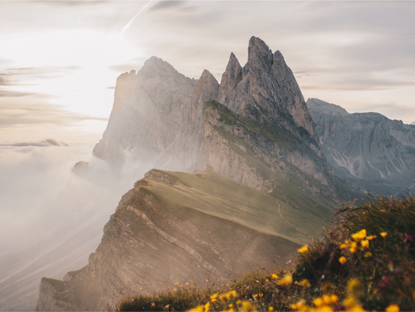 Misty view of jagged mountain tops with wildflowers in the foreground