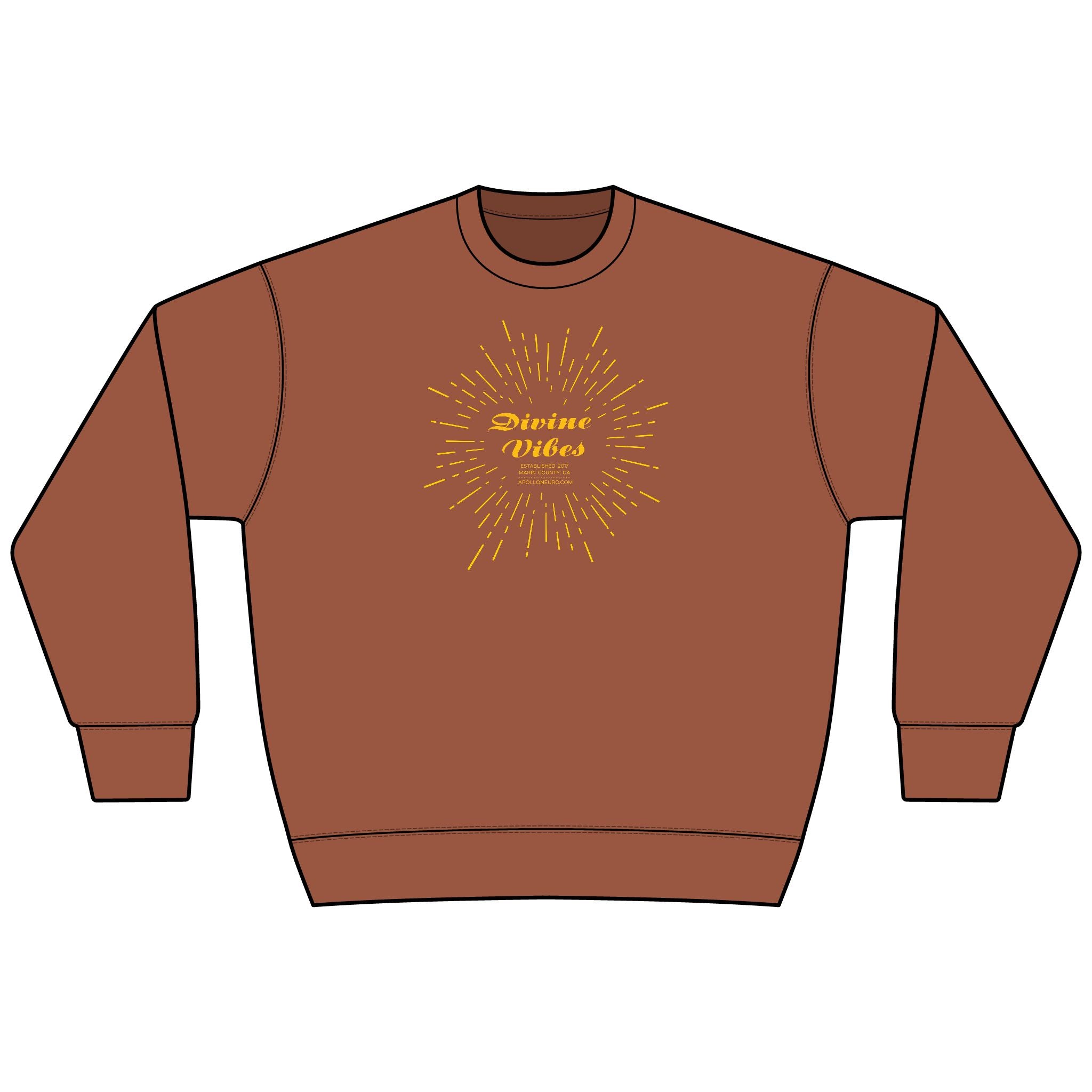 Divine Vibes Sweatshirt — Vintage Sunburst Graphic Crewneck