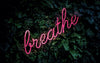 "Breathe" neon lettering on ivy