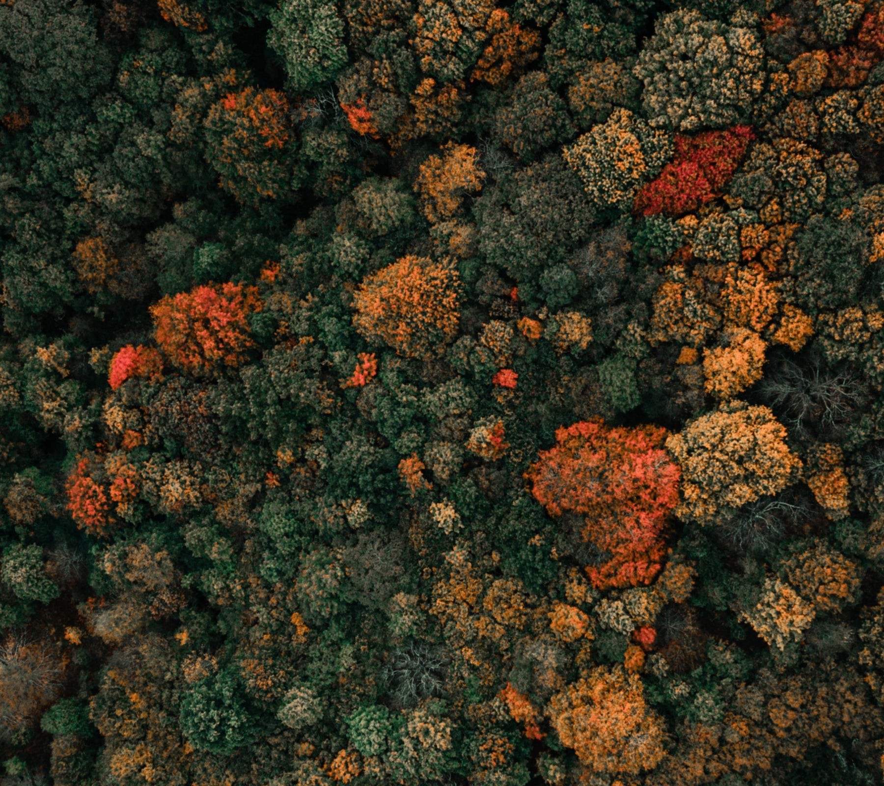 There’s a Vibe for That: Fall Edition