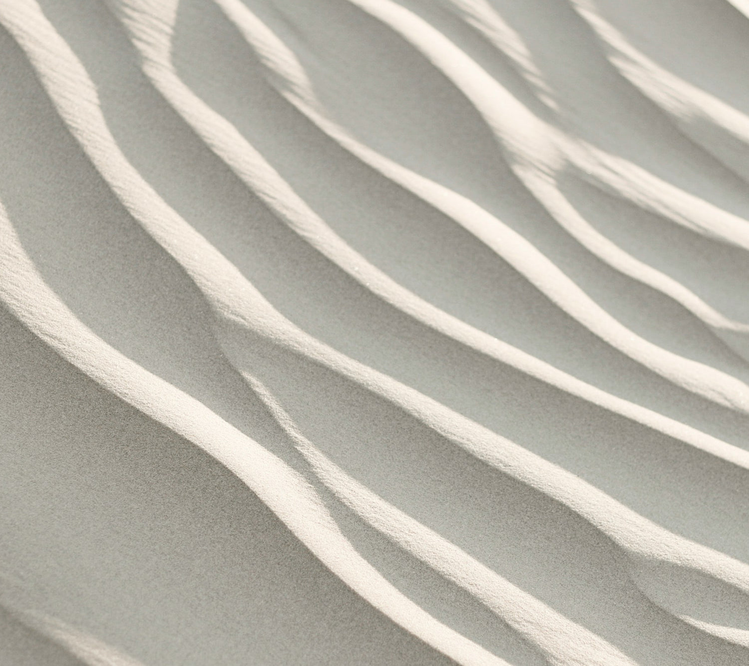 Mindful Meditation Practices for Stress Reduction