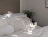 White comfy bed with a pile of white pillows. There is a green plant next to the bed and light is filtering through the curtains. 