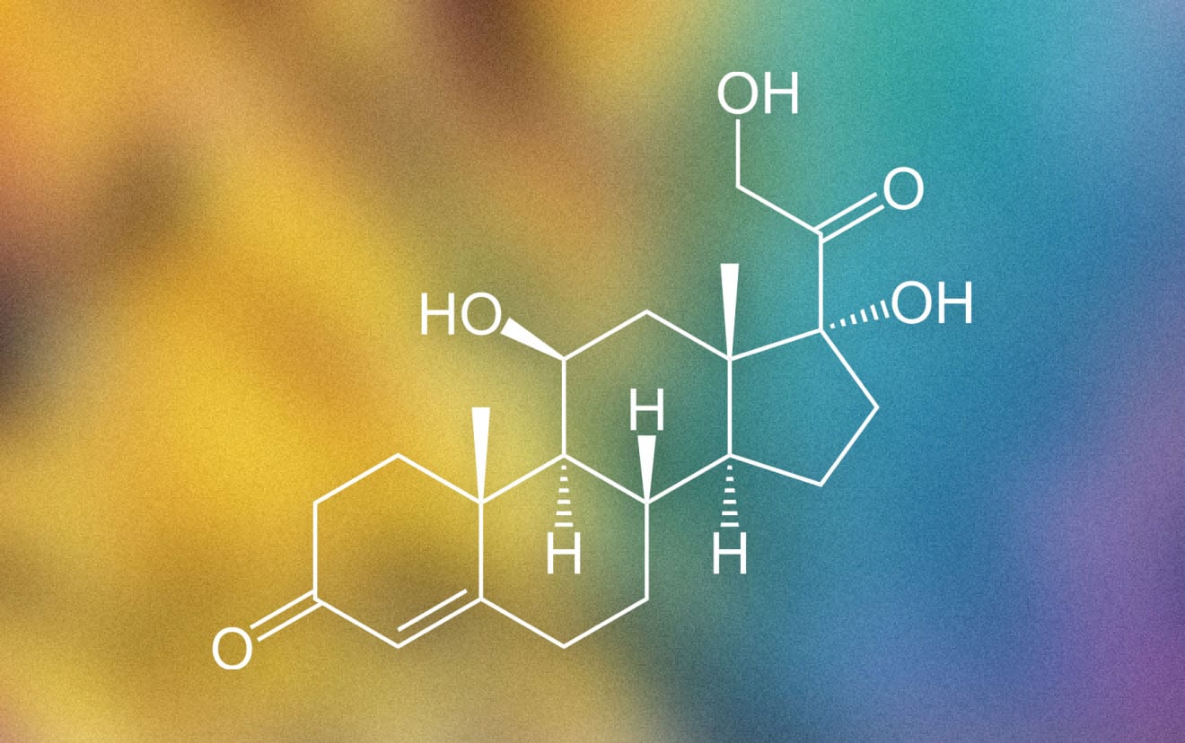 A guide to cortisol management