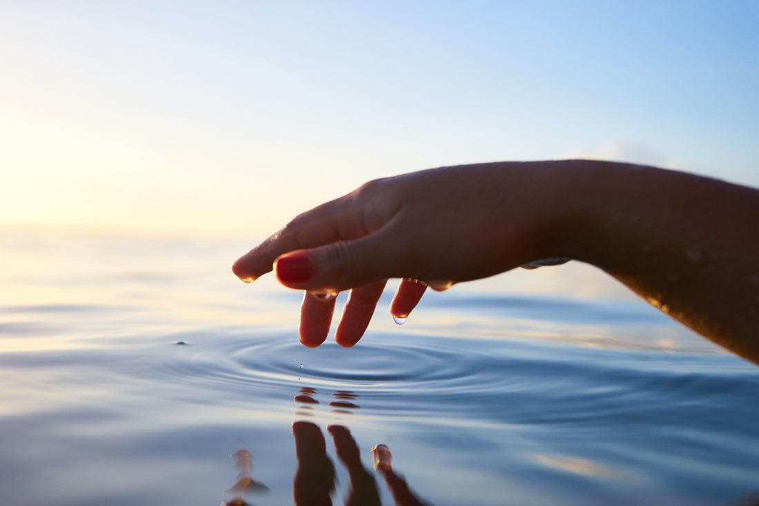 The Science Behind Sense of Touch and the Brain – Apollo Neuro