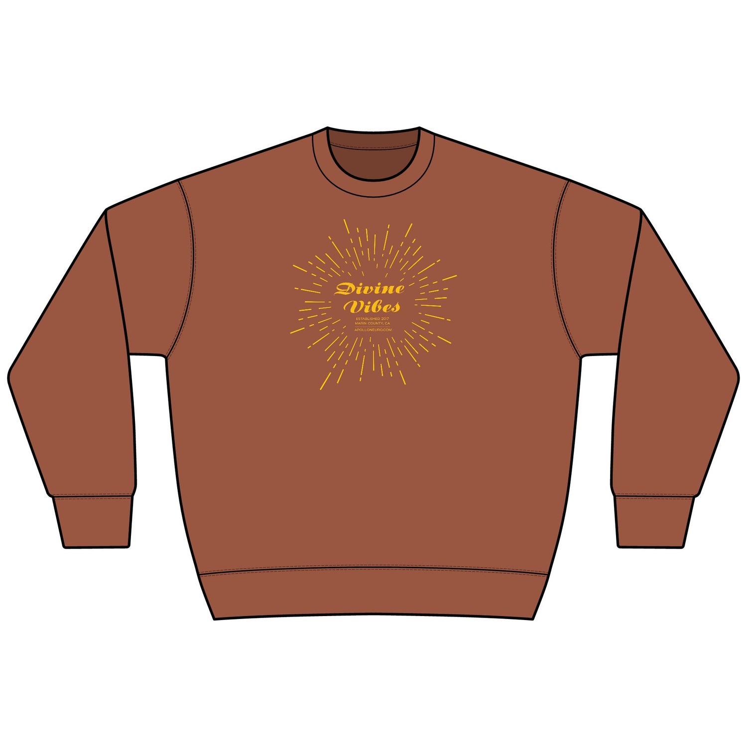 Divine Vibes Sweatshirt — Vintage Sunburst Graphic Crewneck