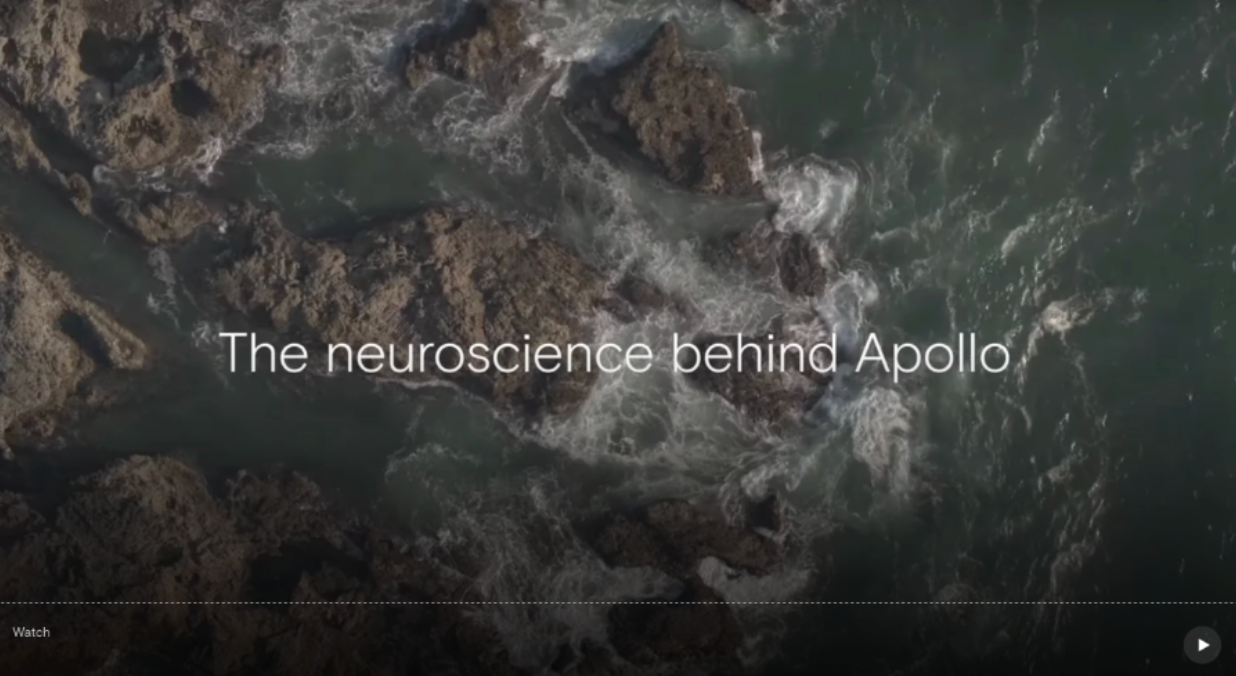 Rocks with water and text overlay 'The neuroscience behind Apollo'