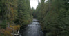 Calming stream flowing through a forest